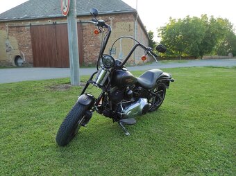 HARLEY DAVIDSON FLSTSB cross bones springer - 5