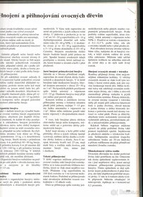 Kniha ZIMA V ZAHRADĚ - 5