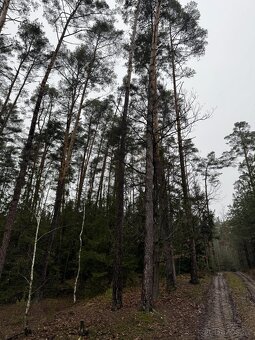 Prodám pozemky v k.ú. Veliny - 5