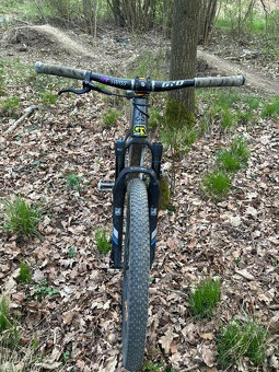 custom CTM dirtking - 5