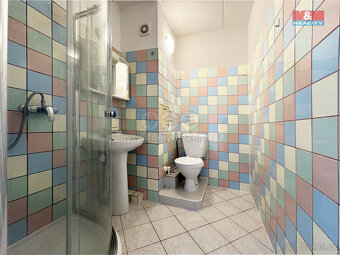 Pronájem bytu 1+kk, 18 m², Karlovy Vary, ul. Fibichova - 5