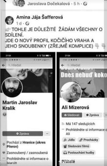kočka Pardubice - 5