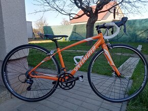 Prodám Specialized dolce 48 - 5