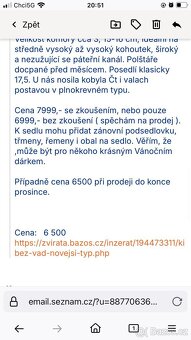 Sedlo KIEFFER komora cca 3 - bez vad - 5