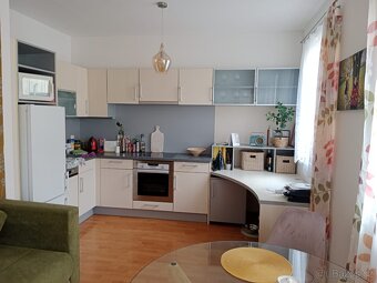 Pronajmu byt 2kk v Plzni - 5