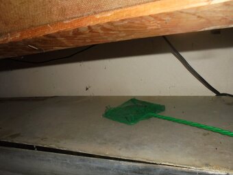 Akvarijní stěna terária - 5