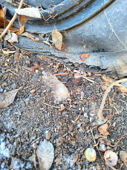 Prodám maringotku - 5