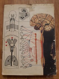 Biologie člověka v obrazech - 5