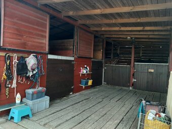 Nabízím Ustajeni - 5