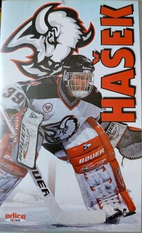 VHS Dominik Hašek - 5