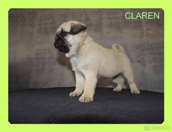MOPS s PP. - 5