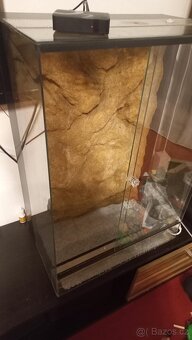 Terárium 80x55x35 - 5