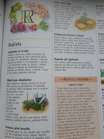 Kniha... - 5
