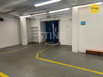 Pronájem 220 m2 skladových či výrobních ploch., 126421 - 5