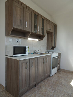 Pronájem slunného bytu 2+1 - 5