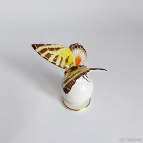 Porcelánový motýl Rosenthal - 5