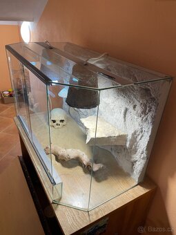 Skleněné terárium pro Agamu - 5