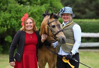 Připouštění Welsh part Bred - 5