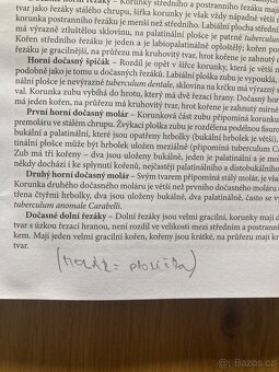 Stomatologie pro dentální hygienistky a zubní instrumentářky - 5