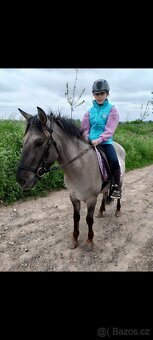 Pony valášek - 5