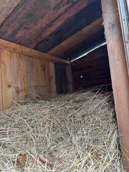 Králíkárna za Odvoz - 5