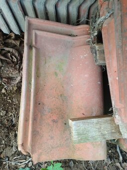 Starsi stresni tasky - 5