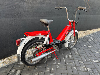 BABETTA 207 PO RENOVACI - 5