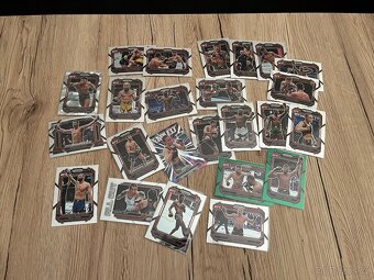UFC karty 2024 - 5
