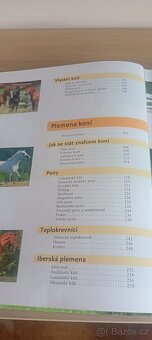 Kniha Koně – Gabriele Metz, Ulrike Amler - 5