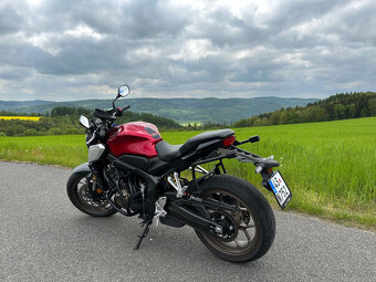 HONDA CB650R Neo Café - 5