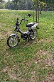Moped 50cmm - 5