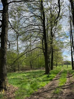 Prodám pozemky v katastrálním území Mníšek - 5