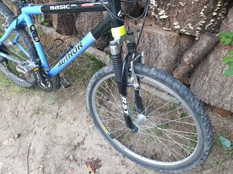 Author Basic SX vel. 17 - 5