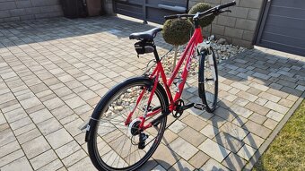 Dámské kolo ROCK MACHINE - 5