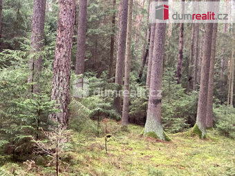 Prodej lesního pozemku, 69319m2, Líšnice u Sepekova - 5