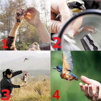 Síť k odchytu malých ptáků 10 x 3 metrů Ornitologická síť - 5