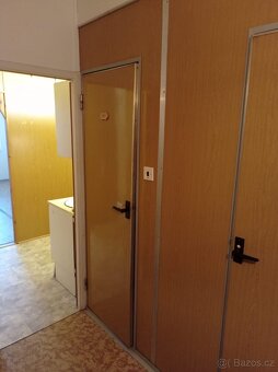 Pronajmu garsonku v Jindřichově Hradci - 5