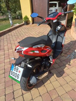 Longia charger 125cm - 5