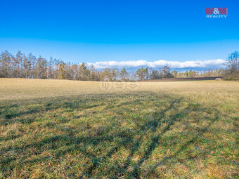 Prodej louky, 11767 m², Benešov - 5