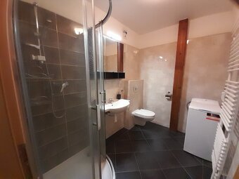Pronájem bytu 1+kk, 52m2 - 5