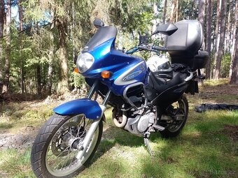 Suzuki XF 650 Freewind - 5