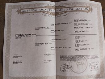 QH hřebeček - ranch linie - 5