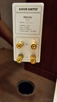 Aurum Cantus melody M-103 - 5