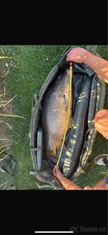 Trofejní kapři 10-17KG - 5