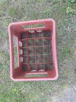 přepravka pivo, víno - 5