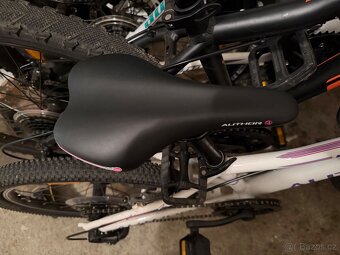 Author record 20” - 5