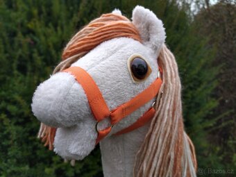 Hobby horse - 5