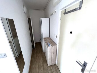 Pronájem bytu 1+1 Napajedla - 5