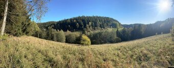 Prodej pozemku - louka, les - 5