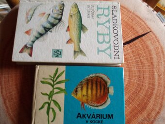 knihy pro chovatele-králíci,holuby,ryby,papoušci,psi,kočky - 5